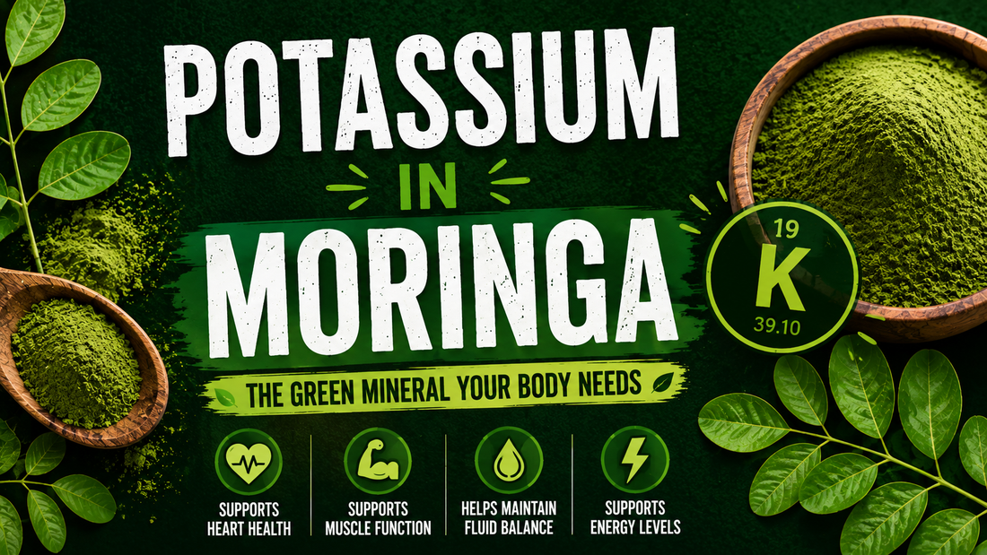 potassium in moringa thumbnail