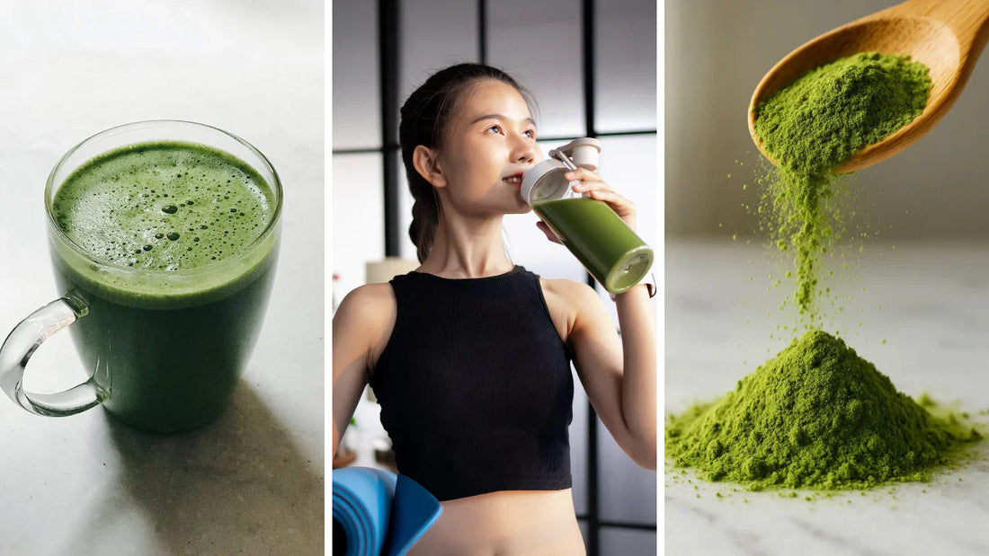 Moringa Dosage: How Much Moringa Should You Take Per Day?