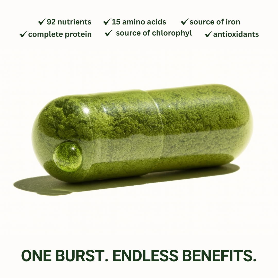 Organic Moringa Capsules